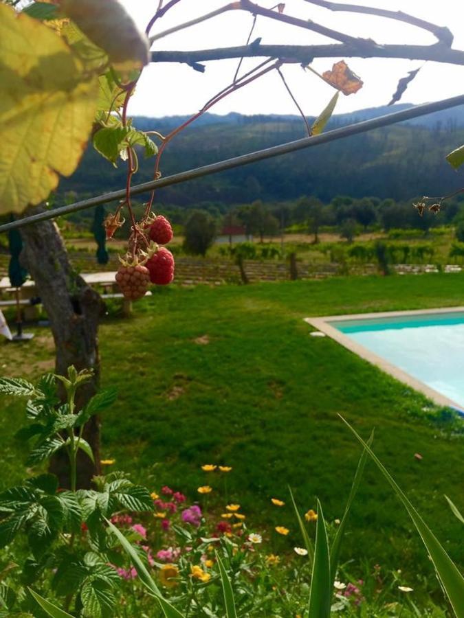 Quinta Da Aranha Villa Arcos de Valdevez Buitenkant foto