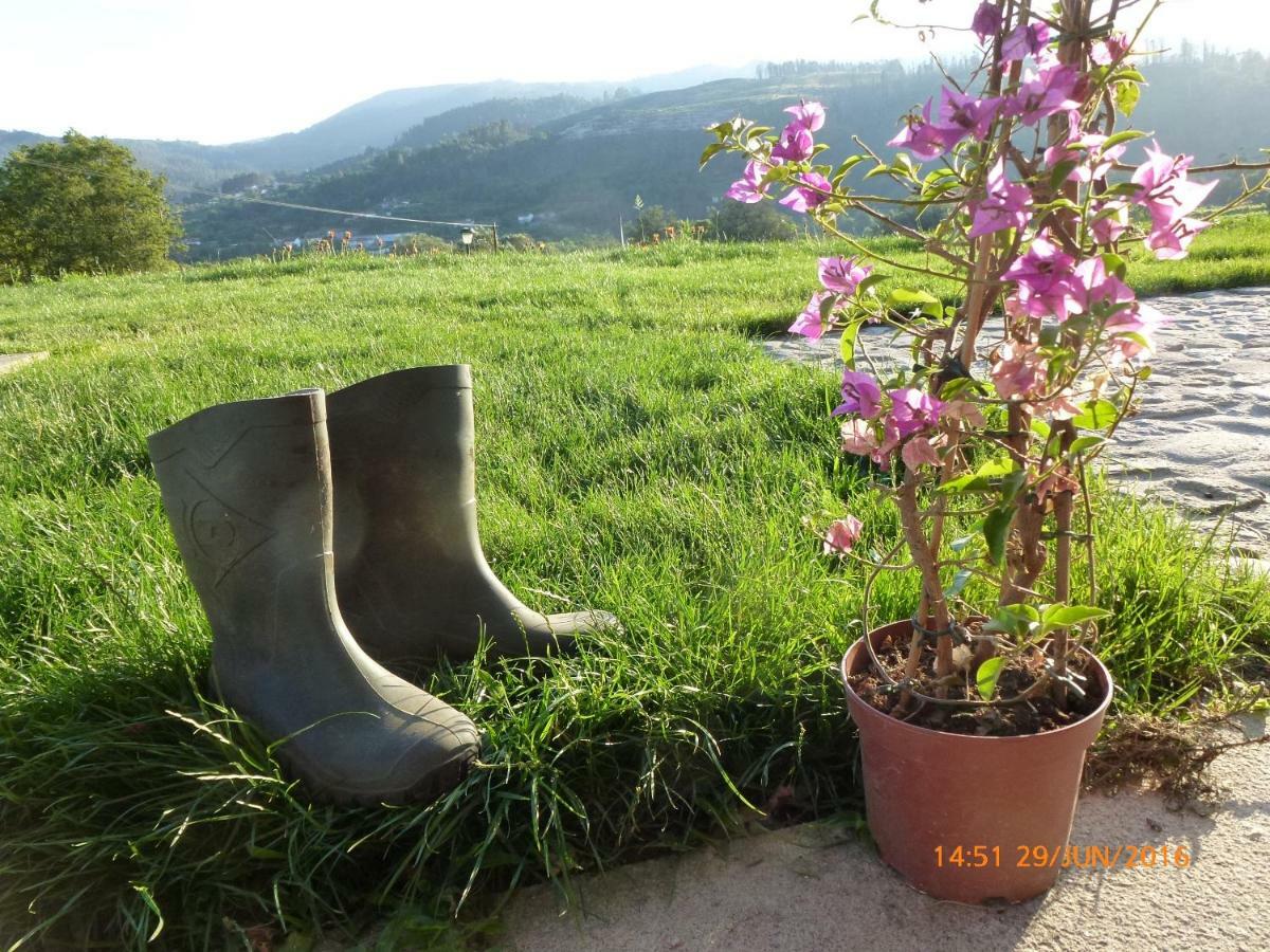 Quinta Da Aranha Villa Arcos de Valdevez Buitenkant foto