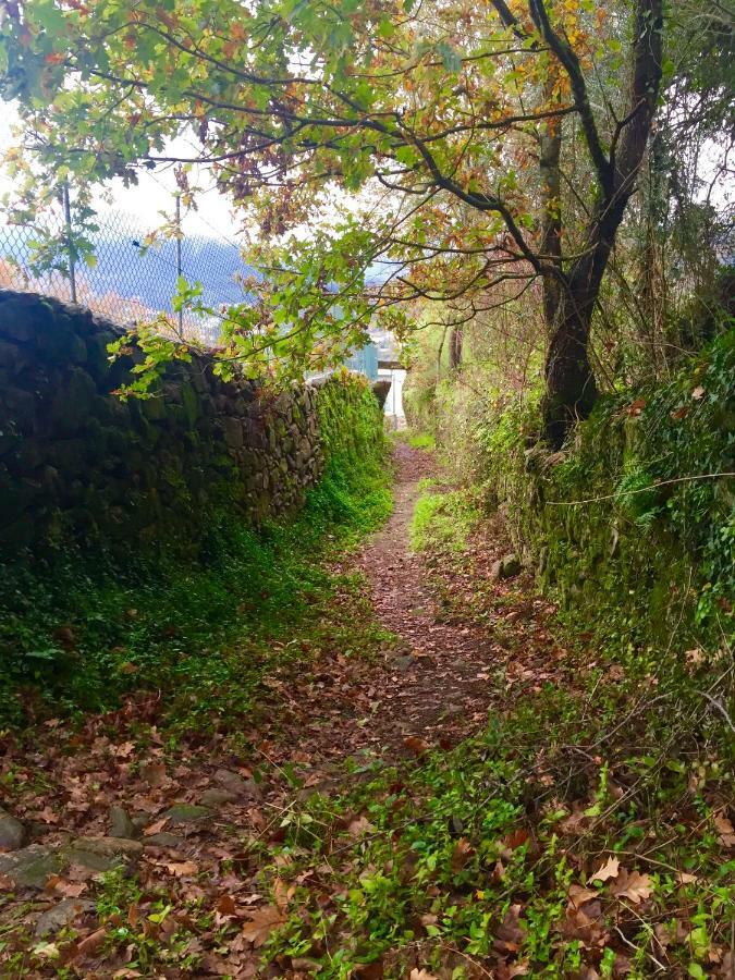 Quinta Da Aranha Villa Arcos de Valdevez Buitenkant foto